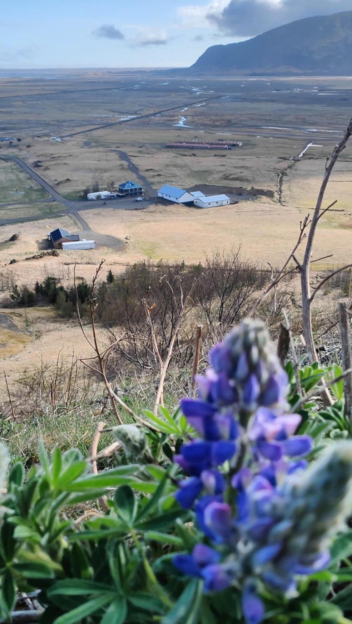 Glacier World - Hoffell Guesthouse ภายนอก รูปภาพ